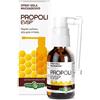 ERBA VITA GROUP SPA Erba Vita Propoli Spray Gola Dispositivo Medico CE Senza Alcol per Gola 20ml