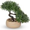 Briful Bonsai artificiale, bonsai Podocarpus, piante artificiali decorative come | 20 cm, vero bonsai, piante decorative in vaso con pietre decorative, per soggiorno, ufficio, cucina, bagno