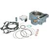 ATHENA P400510100002 KIT CILINDRO ARCTIC CAT 400 2X4 DVX 2005