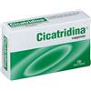 FARMA-DERMA Srl Farma Derma, Cicatridina Supposte, 10 Pezzi