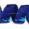Artipistilos Nastro con paillettes 4,5 cm.