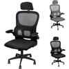 NONE Sedia da Ufficio Ergonomica, Girevole con Braccioli 3D, Schienale Alto, Supporto Lombare (Regolabile in Altezza), Regolazione Altezza/Sdraio