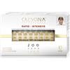 Crescina Rapid Intensive Ri-crescita 200 Uomo 20+20 Fiale Da 3,5 Ml Trattamento Capelli Per Rinfoltimento e Ricrescita Capelli Diradati