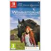 Mindscape WINDSTORM: START OF A GREAT FRIENDSHIP CiB