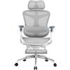 SIHOO Sedia da ufficio ergonomica Doro C300 Pro con braccioli 6D ultra morbidi, supporto lombare dinamico, regolazione della profondità seduta, poggiapiedi schienale regolabile(Bianco)