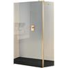 Leroy Merlin Deflettore walk-in Wens L 50 X H 200 cm, vetro trasparente 6 mm, profilo oro spazzolato