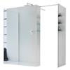 Leroy Merlin Box doccia walk-in Wens, vetro 6 mm, H 200 cm, profilo bianco