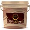 PERUGINA PROFESSIONALE Crema Spalmabile Intensa alle Nocciole, Secchiello 3kg