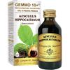 DR.GIORGINI SER-VIS Srl Dr.giorgini Ser-vis Ippocastano Liquido Analcolico Gemmo 10+ 100 Ml