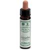 SANTIVERI AINSWORTHS SCLERANTHUS 10ML