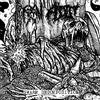 Raw Addict Swarm Decomposition (CD)