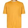 FILIPPO DE LAURENTIIS - Basic t-shirt - Senape