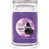 Yankee Candle Amethyst Moon Amethyst Moon 567 g