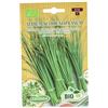 Germisem Biologico Allium Schoenopasum Semi di Erba Cipollina 2 g