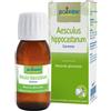 Boiron srl AESCULUS HIPP BOIRON MG 60ML