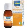 Boiron srl ECHINACEA ANGUST 4CH GR 4G