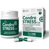 INNOVET CONDROSTRESS CAT (30 cps) - Supporto contro l'osteoartrite nei gatti