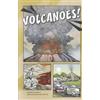 Renee Gray-Wilburn First Graphics Wild Earth Volcanoes (Tascabile)