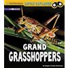 Megan Cooley Peter Little Entomologist 4D Grand Grasshoppers a 4D B (Tascabile)