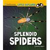 Melissa Higgins Splendid Spiders (Copertina rigida) Little Entomologist 4D
