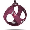 Curli Clasp Vest Geschirr Air-Mesh Special E. 2022 Ruby M