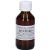 Zenzero 100ml Tintura Madre 100 ml Soluzione orale