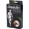 Polsiera Dr Gibaud Sport 2 1 pz Bendaggio/i