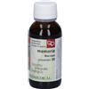Bacopa Memoria Estratto Integrale Sinergico 60 Ml Preparato 20 ml