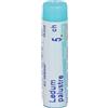 Ledum Palustre (Boiron)*Granuli 5 Ch Contenitore Monodose 1 g Globuli