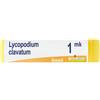 BOIRON® Lycopodium Clavatum Granuli 1.000 K Contenitore Monodose 1 g Globuli