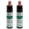 Ainsworths Recov Remedy 10Ml 2x10 ml Gocce orali