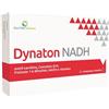 Dynaton NADH Compresse 20 pz