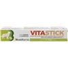 Vitastick Pasta Siringa 15 G g