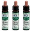 Ainsworths Recov Remedy 10Ml 3x10 ml Gocce orali