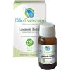 Lavanda Olio Essenziale Extra 10 ml Soluzione orale