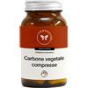 CENTO FIORI Srl CARBONE VEG 100CPR