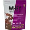 +Watt Whey Protein 90 - Proteina isolata pura al 90% con tecnologia di microfiltrazione a flusso incrociato CFM - Doypack da 750 g - Gusto Cacao