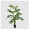 EDG Enzo De Gasperi Palma Areca C/Vaso H150 C3 Green