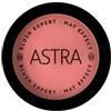 GIUFRA Srl Astra Blush Expert Mat Effect 06 Absolute Terra 7g
