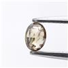 Surat*Diamond*City Diamante Naturale Ovale 0.17 CT Marrone Giallastro