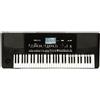 KORG PA300