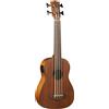 Eko Duo Ukubass EQ Fretless