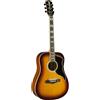 Eko Ranger VI VR EQ Honey Burst