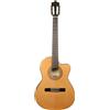 Ibanez GA5TCE-AM