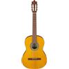 Ibanez GA3-OAM Open Pore Amber