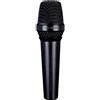 LEWITT MTP 550 DM
