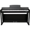 ECHORD E-CHORD DPX-100 Black Satin