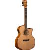 Washburn G66 CE Natural