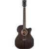 Washburn Ebony ACE Natural