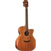 Washburn G55 CE KOA Natural